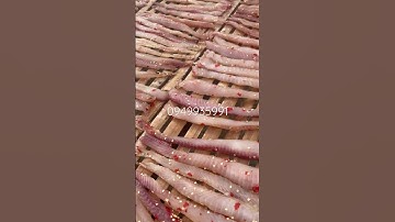 Khô Cá Lóc Phi Lê Sợi