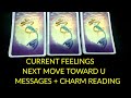 NO CONTACT - CURRENT FEELINGS OF YOUR PARTNER/WILL THEY MAKE A MOVE/LOVE MESSAGES + CHARM ❤️💋❤️