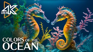 The Ocean 4K - Sea Animals for Relaxation, Beautiful Coral Reef Fish in Aquarium #18