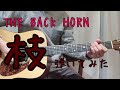『枝 アコースティック ver.』THE BACK HORN アコギ1本で弾いてみた!
