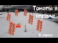 Как посеять томаты в теплицу в апреле - 4 серия