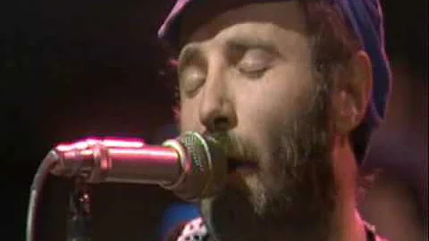 Michael Chapman - Among The Trees - 1975