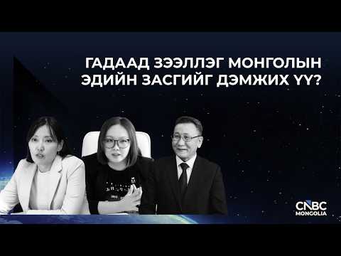 ГАДААД ЗЭЭЛЛЭГ МОНГОЛЫН ЭДИЙН ЗАСГИЙГ ДЭМЖИХ ҮҮ?