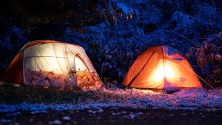 Camping in Silver City Idaho!