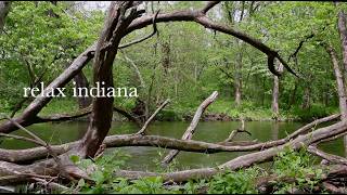 relax indiana (Episode 4:  Cicero Creek, Hague Road Nature Preserve, Noblesville)
