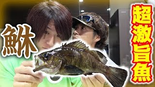 こんなに美味しい魚だったとは！！！