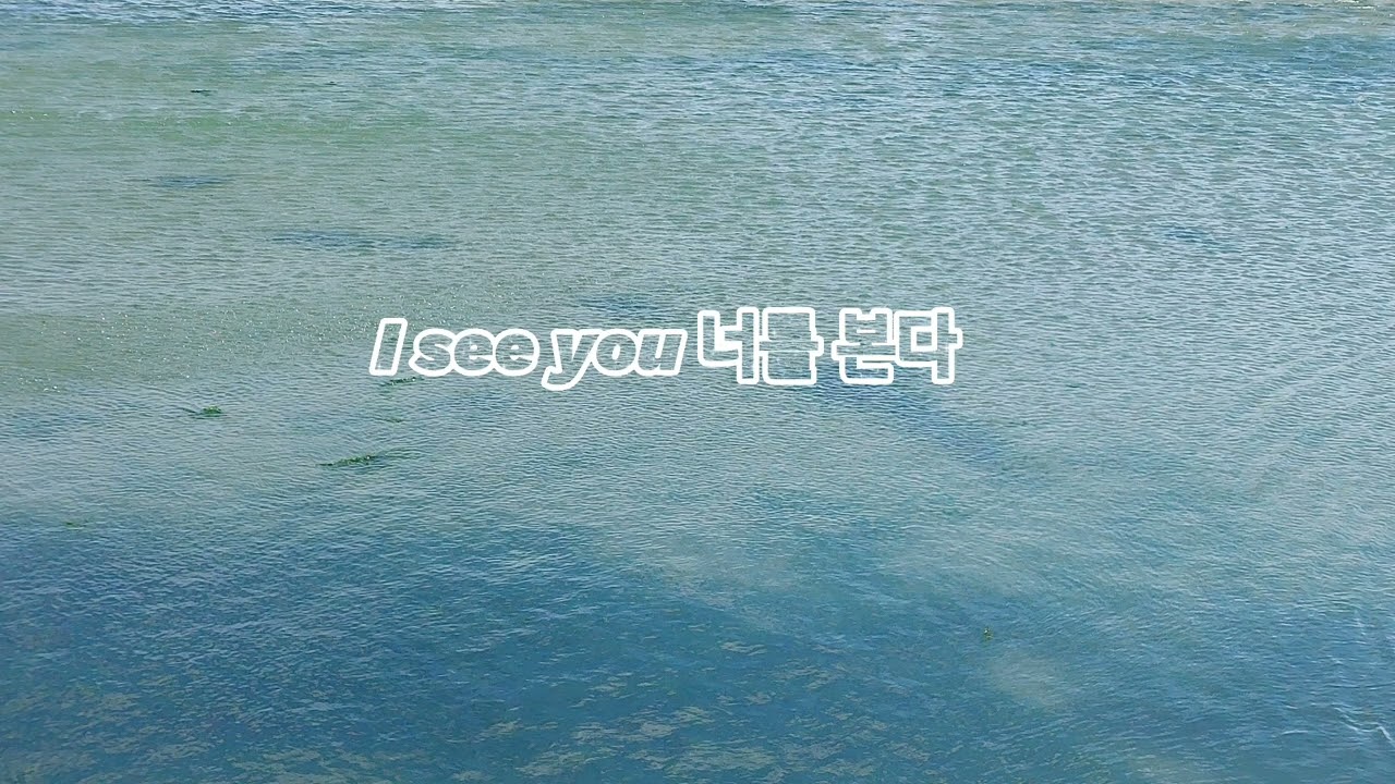 I see you 너를 본다