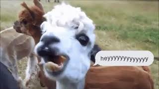Heyyyyyyyyyyyyyyyyy yyyyyyyyyyy yyyyyyy