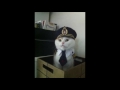 Theme of captain cat