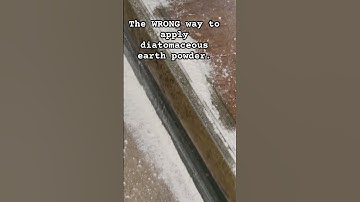 Diatomaceous earth powder: How NOT to apply it. #diatomaceousearth  #bedbuginfestation #bedbugs