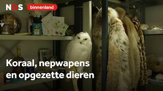 Thumbnail for Dit nemen mensen (stiekem) mee terug van vakantie