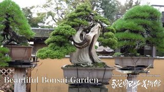 [4K] Shunkaen Bonsai Art Museum 2018 Autumm