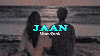 Jaan Slowed Reverb love lofi song 2024 #hindisong #hindilofi #viral #virallofi #slowedandreverb