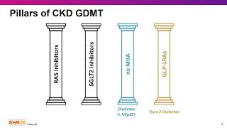 2026 Spring Clinical Meetings   Optimizing CKM Care with Guideline Directed and Aldosterone Targeted