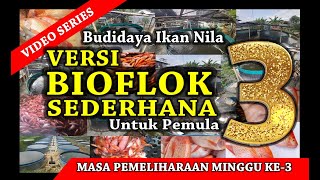 Panduan Bioflok Ikan Nila Secara Sederhana Versi Pemula - Analisa Minggu Ke - 3