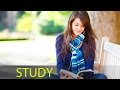 Study Music, Meditation, Focus Music, Concentration Music, Work Music, Relaxing Music, Study, ☯217