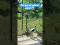suckers @Tuttio_777 @JustBikes13 #escooter #fypシ #fypシ゚viral #tuttio #yozma #noschool #mtb