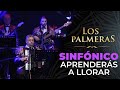 Los Palmeras y la Sinfónica de Santa Fe - Aprenderás a Llorar