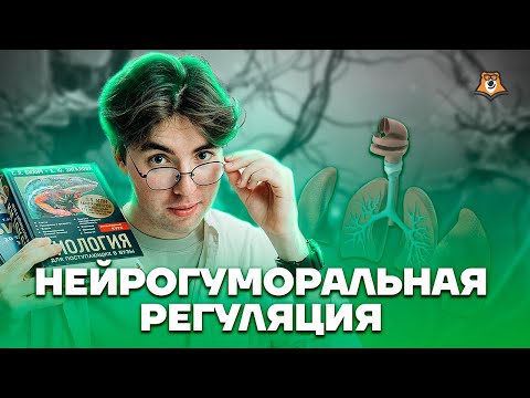 Нейрогуморальная регуляция | Биология ОГЭ 2023 | Умскул