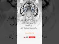 لا قيود لي ولا أهتم بأفواه البشر ولا تعجبني أجواء المجاملة إن احببتك