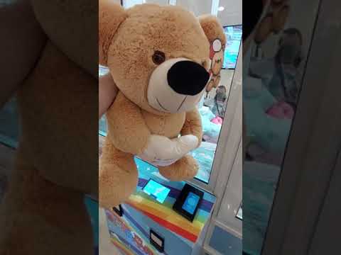 PERDI MINHA CARTEIRA E GANHEI UMA PELÚCIA GIGANTE 😲😮