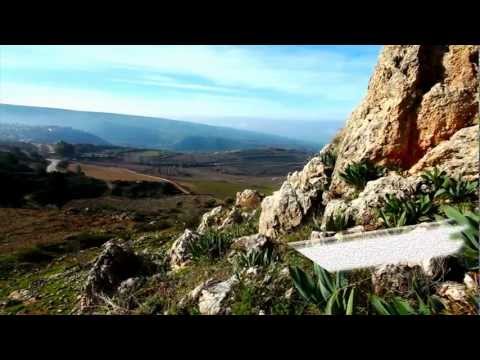 كليب بلاد العز محمود بدويه