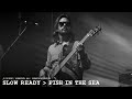 Goose - Slow Ready → Fish in the Sea - 9/12/20 Yarmouth, MA
