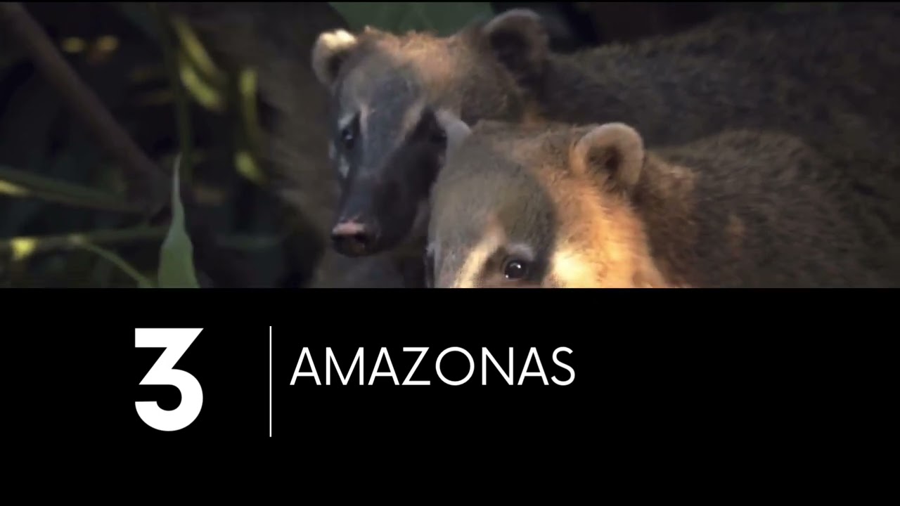 COLOMBIAN DAY FELIPE AND RAFAEL