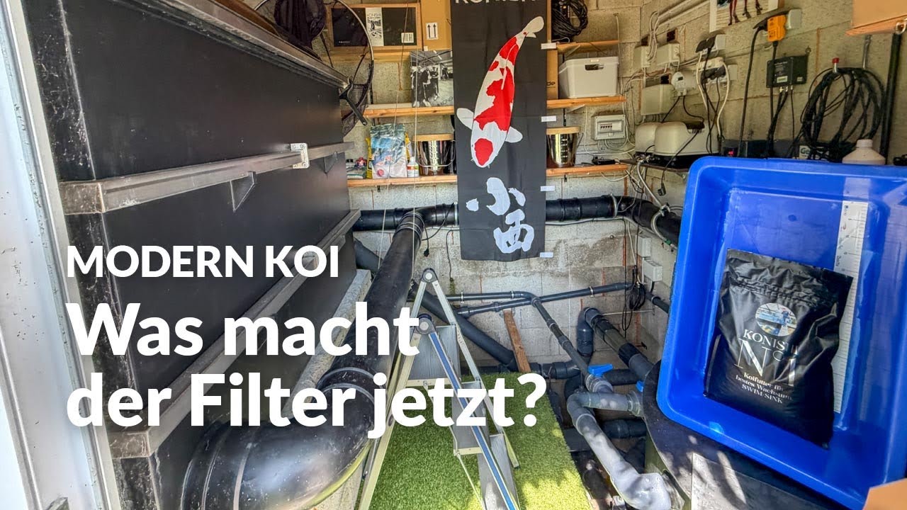 Marks Filteranlage nach dem Schlafkrankheit-Ausbruch | Modern Koi Blog #8207