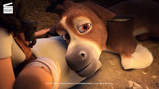 The Star 2017 Mary Gave Birth Hd Clip