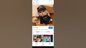 2 most dangerous robbers. #funny