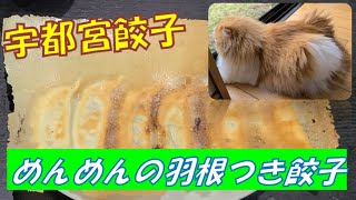 【宇都宮の人気店】めんめんの羽根つき餃子