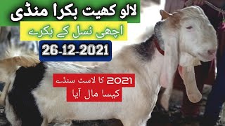 Lalukhet Bakra Mandi 26-12-2021 Rate update Sunday Bakra Mandi Karachi Pakistan لالو کھیت بکرا منڈی