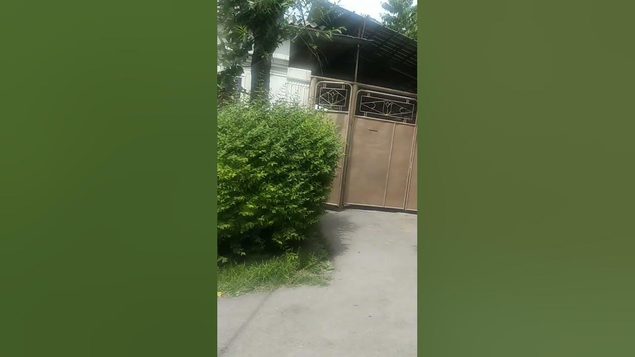 стендофф 2 - YouTube