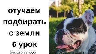 Отучаем подбирать. Урок 6. Последний важный урок Отучаем подбирать. Урок 6. Последний важный урок