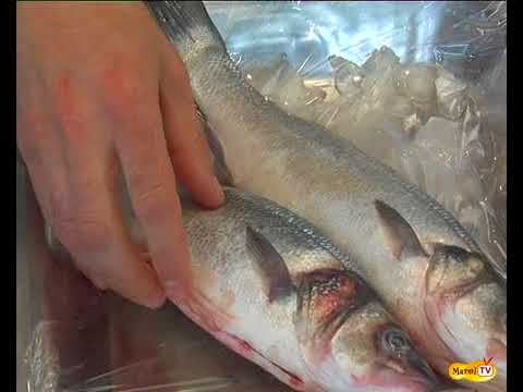 Vidéo: Comment Garder Le Poisson Frais Pendant La Pêche