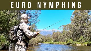 Euro Nymphing and Dry Fly - Snowy Mountains, Australia