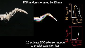 BioRob 2020 Conference Video