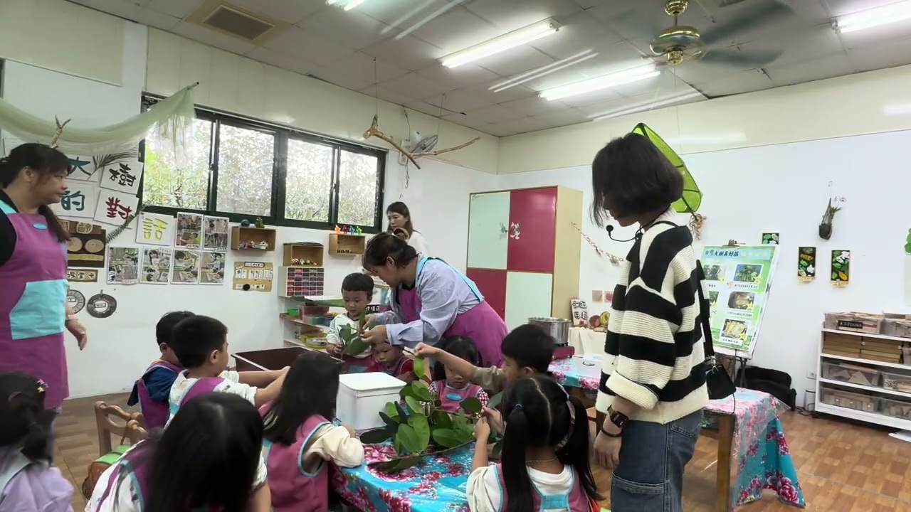 沉浸式客語 114學年度上學期  苗栗縣私立多倫多幼兒園  月份:11月 班級:高飛A班B班 帶班老師:古文欣/林育萱老師  陪伴員:宋韋柔  活動名稱:福木植物染 1 片長:14分52秒