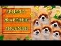 Рецепт: жареные лисички