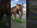 Hundreds of Elephants. One Powerful Message. 🌍