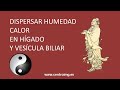 8 Cómo dispersar HUMEDAD-CALOR del Hígado y Vesícula biliar. Medicina China