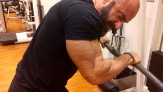 My triceps 2015