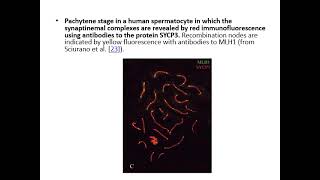 history of  cytogenetics تاريخ علم وراثة الخلوي