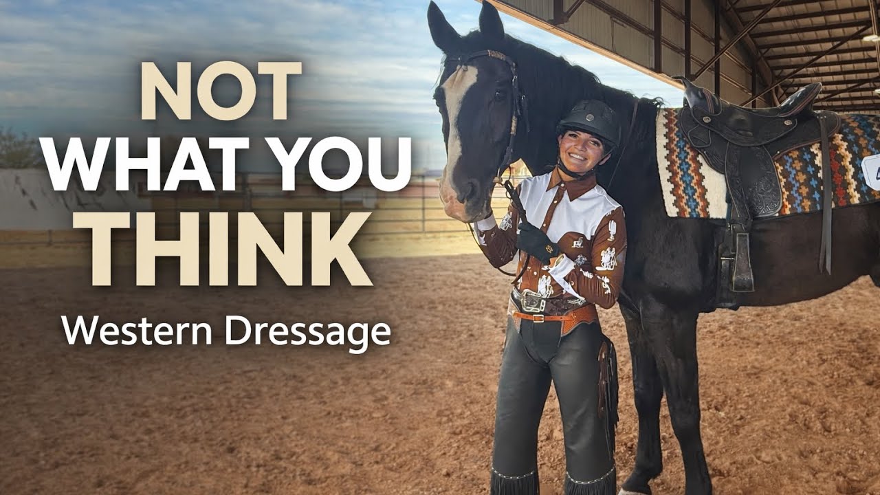 What Is Western Dressage? (Explained Clearly for All Riders)