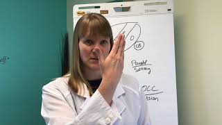 Frontal And Parietal Lobe Explained