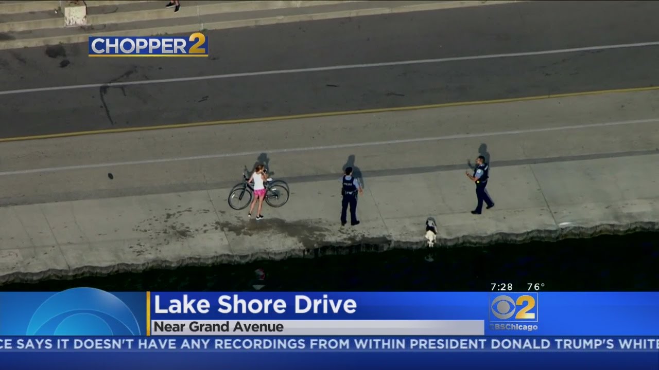 Dog Rescued After Jumping In Lake Near Ohio Street Beach