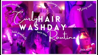 CURLY HAIR WASH DAY for SOFT, DEFINED CURLS + VOLUME *hair products, hair oils & leave ins* by Shayy Butter 199 views 2 months ago 10 minutes, 20 seconds
