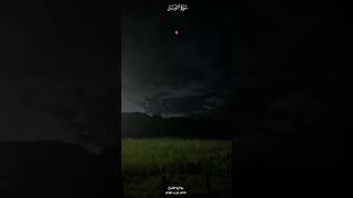 سورة الزمر | الشيخ حاتم فريد الواعر #حاتم_فريد #quran #المصحف #قرآن
