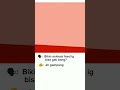 Bikin animasi feed ig emang bisa di #powerpoint ? #desaingrafis #animasipowerpoint